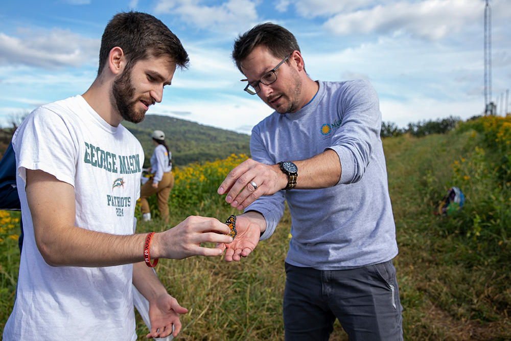 Student works with a professor to carefully examine a monarch butterfly.